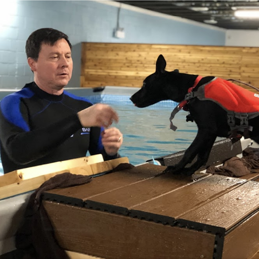 Swimming lessons for dogs